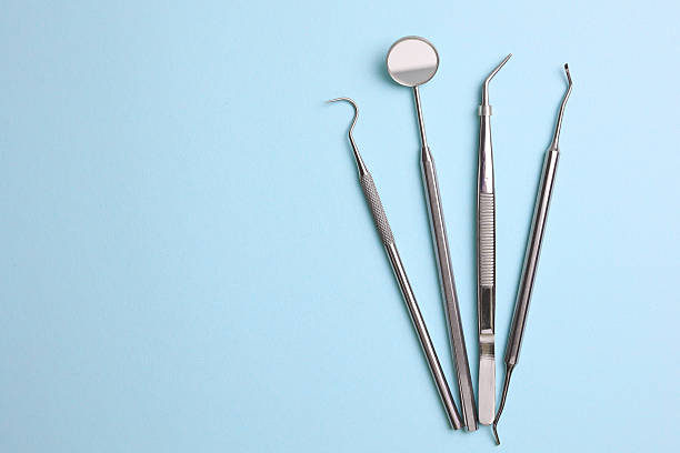 Top rated local Dental specialists in Palm River-Clair Mel, FL